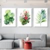 Tranquil Terrace Plant