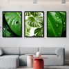 Leafy Luxuries