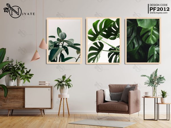 Monstera Green