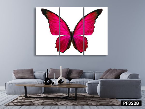 Premium Canvas : Butterfly