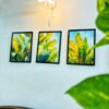 Botanic Harmony - Image 2