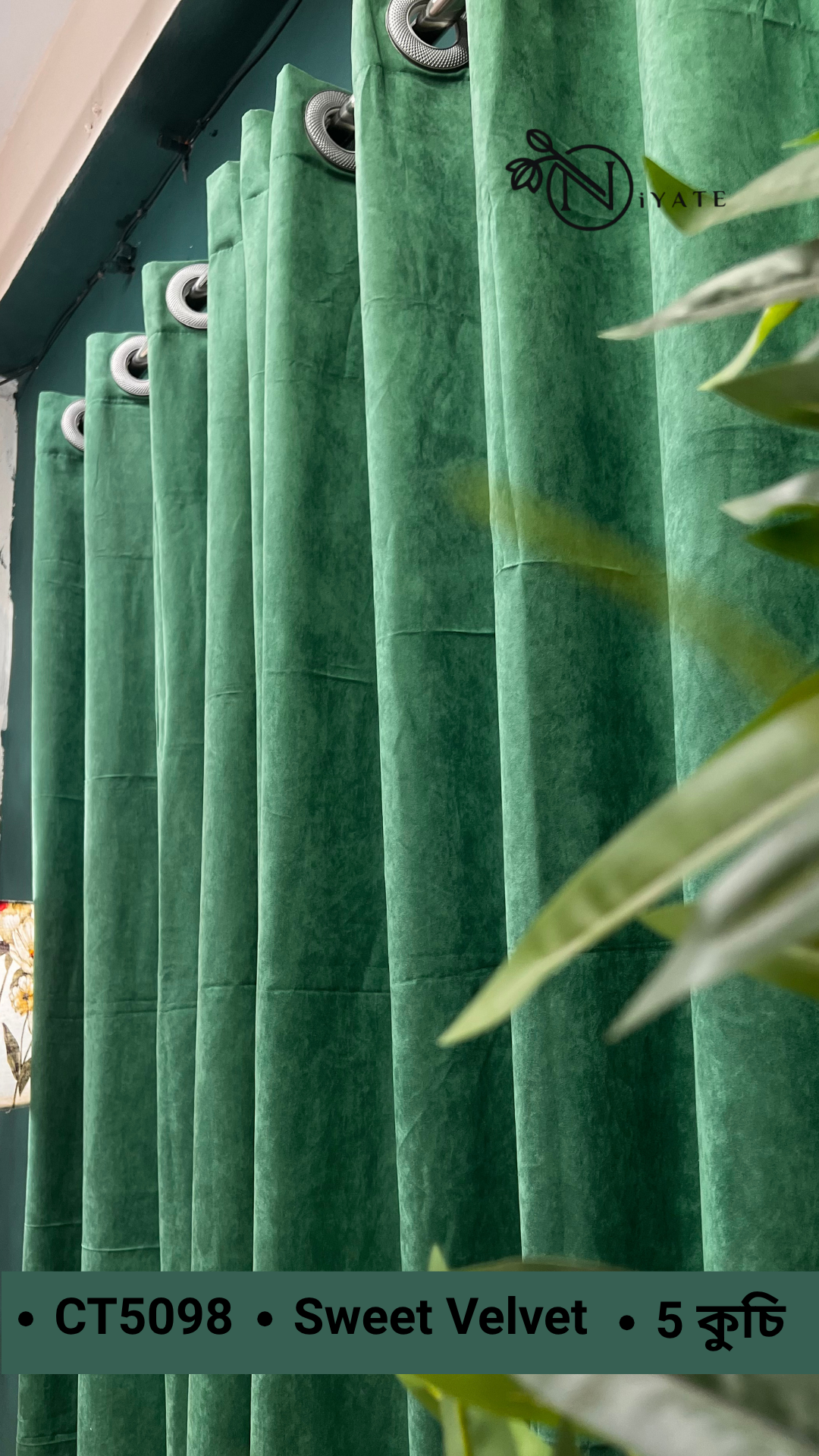 CT5098 | Sweet Velvet - Image 3