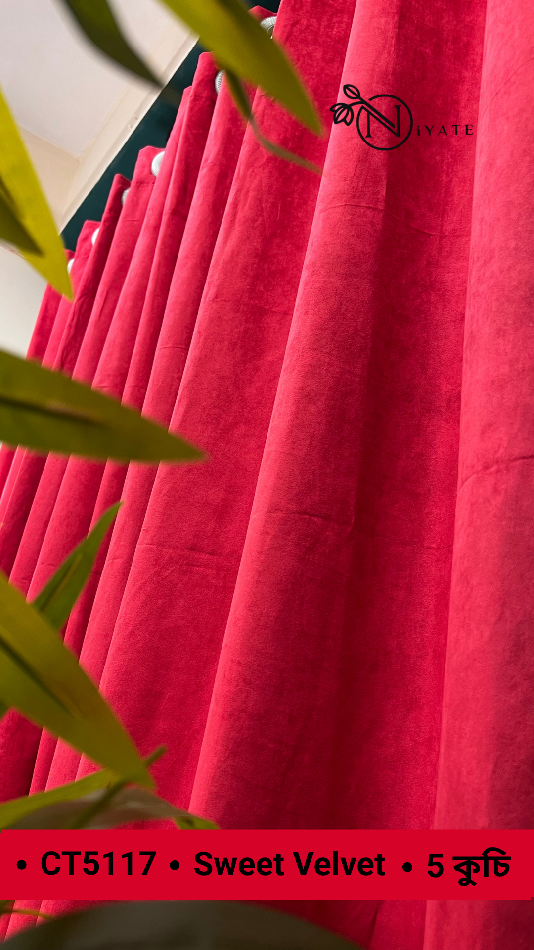 CT5117 | Sweet Velvet - Image 3